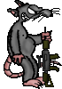 883